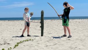 Cactus on the beach
