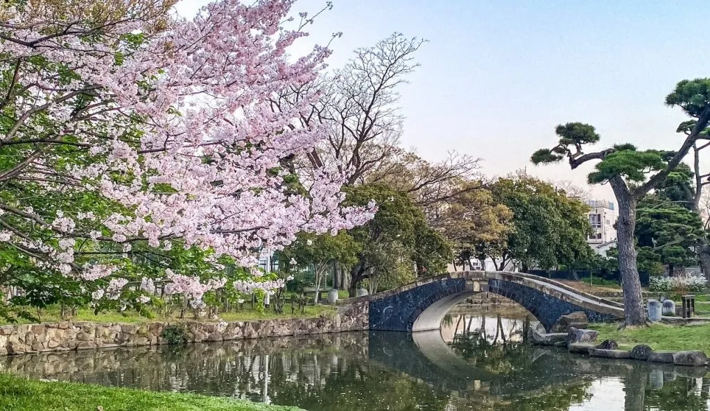 Springtime in Sumiyoshi Park, Osaka, Japan