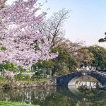Springtime in Sumiyoshi Park, Osaka, Japan