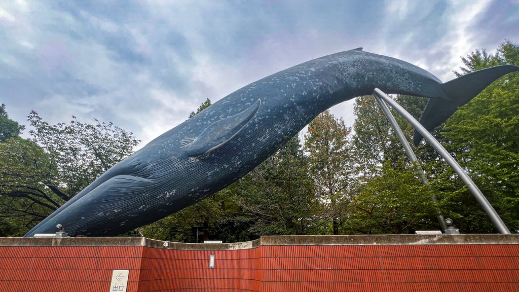 Whale sculpture in Ueno Park, Tokyo