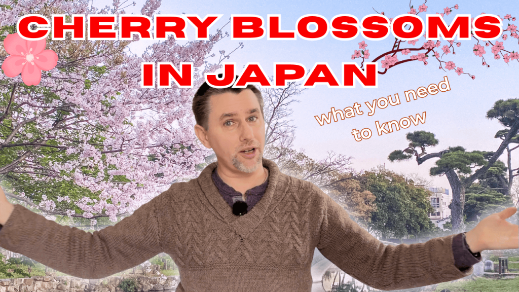 How to enjoy cherry blossom season in Japan: A practical guide