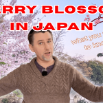 How to enjoy cherry blossom season in Japan: A practical guide